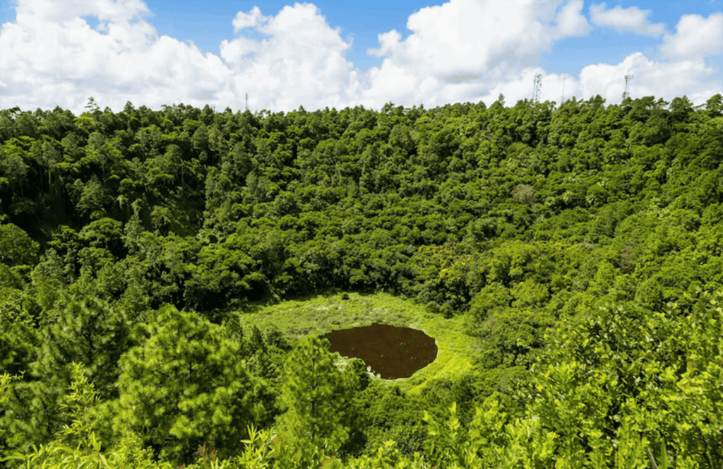 Der Vulkankrater Trou aux Cerfs